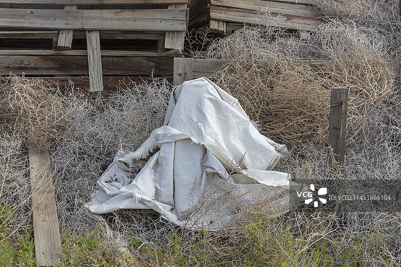 美国华盛顿，蒿草、破旧篷布和木箱图片素材