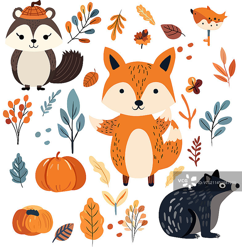 秋季系列林地动物植被图片素材