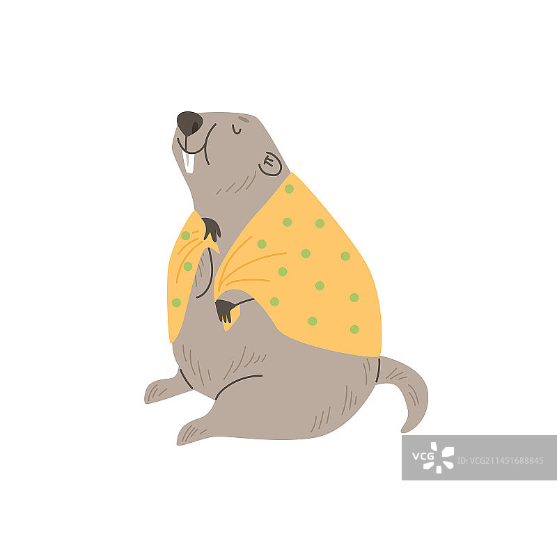 穿着黄色斗篷的可爱土拨鼠图片素材