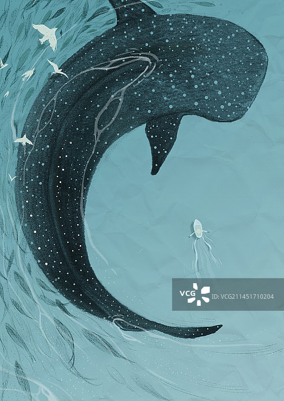 鱼在海里游泳的高角度视图图片素材