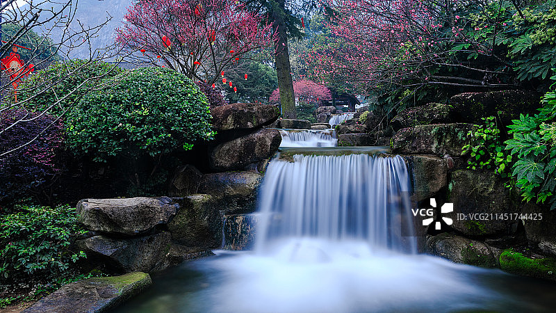 浙江兰溪地下长河瀑布流水园林梅花风光图片素材