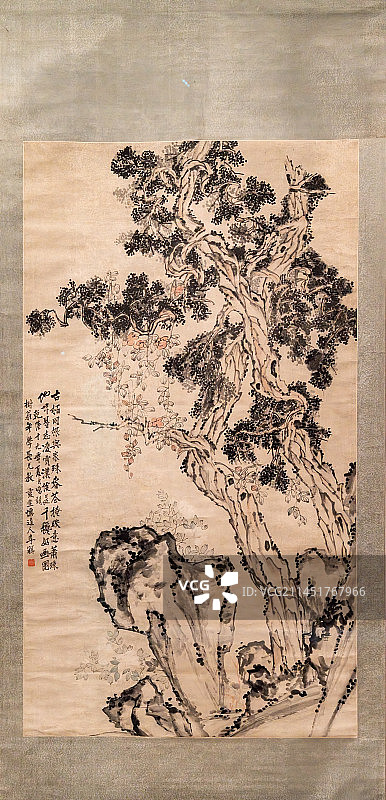 中国古代名人绘画，扬州八怪，李觶，古柏凌霄图轴图片素材