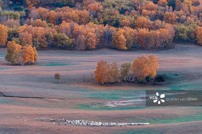 坝上草原乌兰布统景区东沟秋季日落图片素材