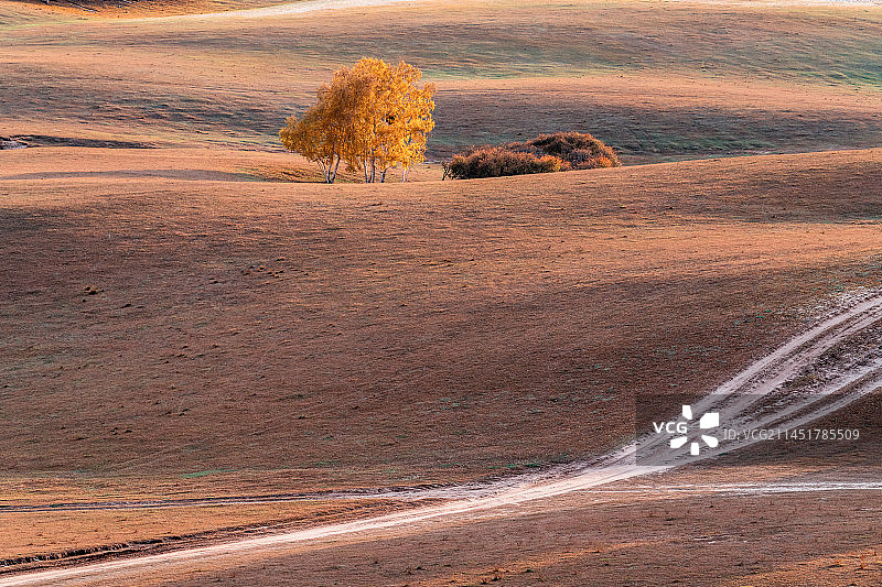 坝上草原乌兰布统景区东沟秋季日落图片素材
