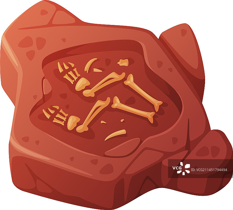 挖掘出的土壤化石图片素材