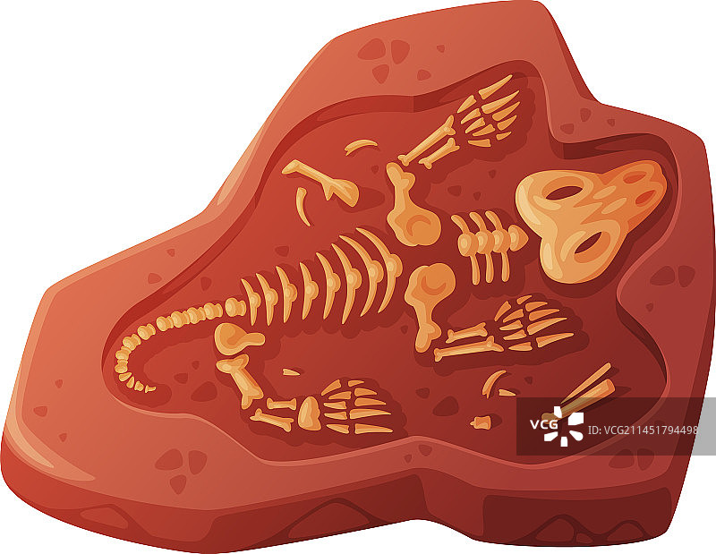 挖掘出的土壤化石图片素材