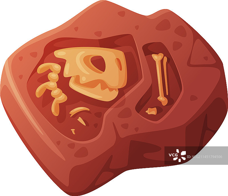 挖掘出的土壤化石图片素材