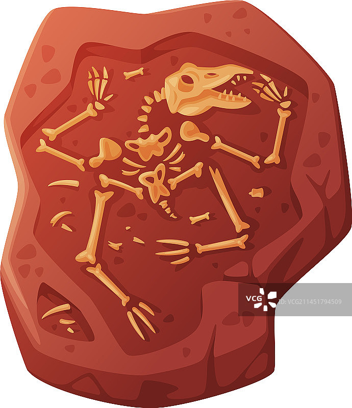 挖掘出的土壤化石图片素材