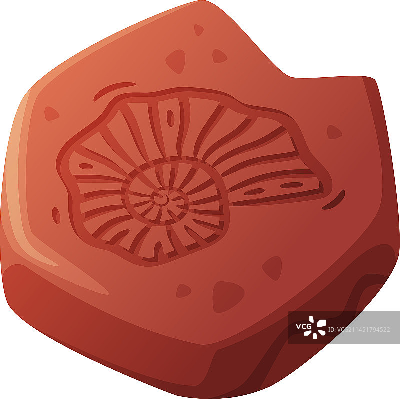 地表挖掘获得的化石印记图片素材