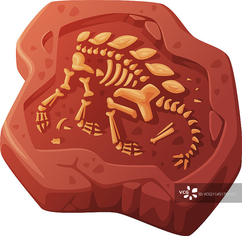 挖掘出的土壤化石图片素材