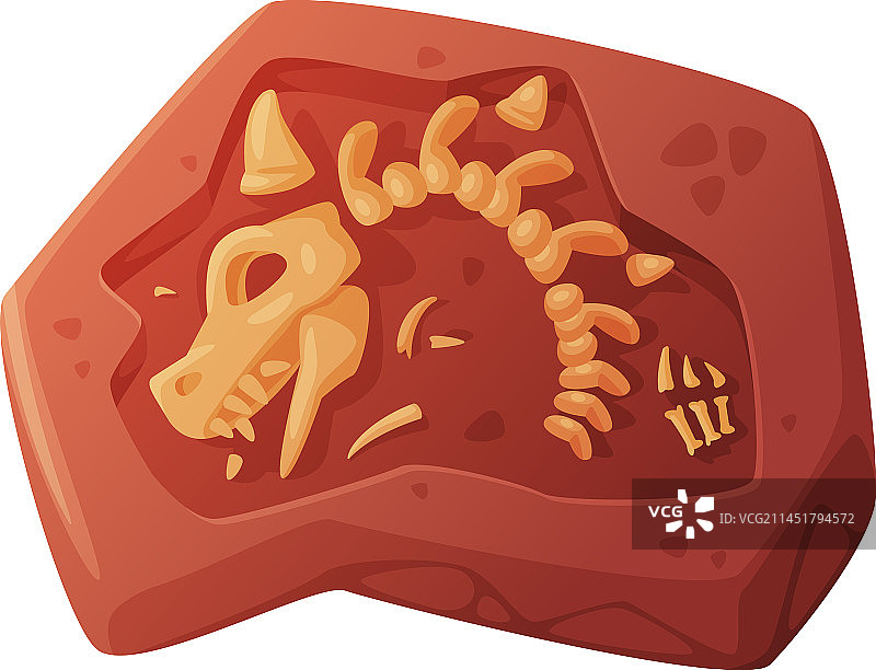 挖掘出的土壤化石图片素材