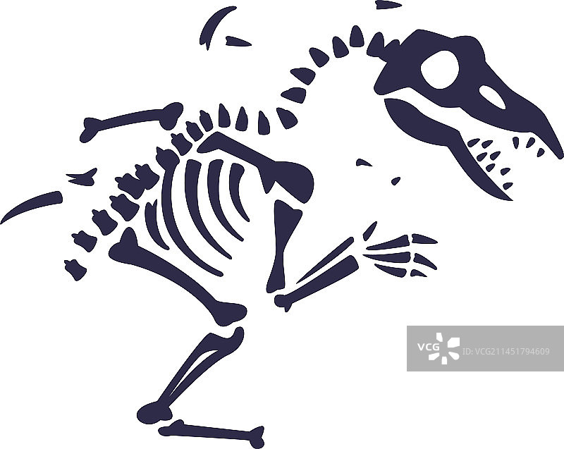 挖掘获得的黑色骨骼化石轮廓图片素材