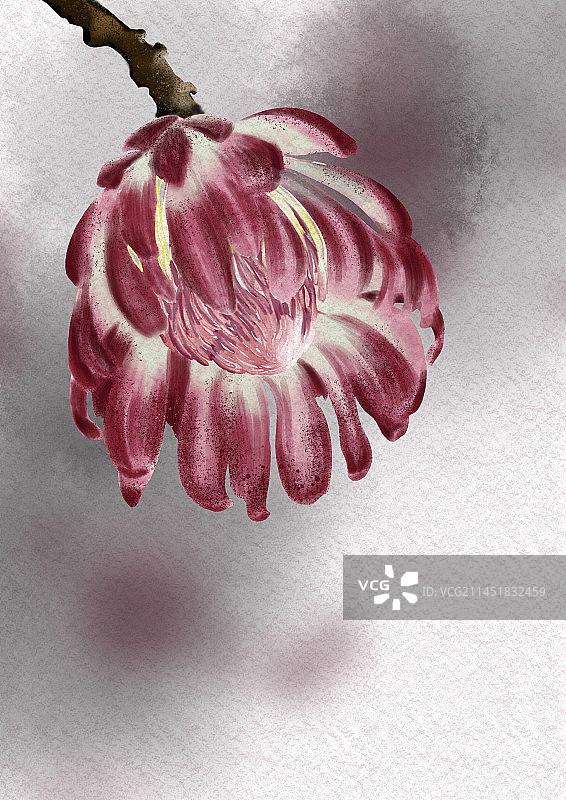 花朵清新淡雅唯美治愈系插画壁纸图片素材