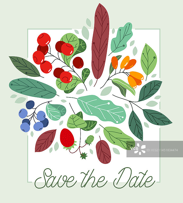 成熟野莓贺卡图片素材