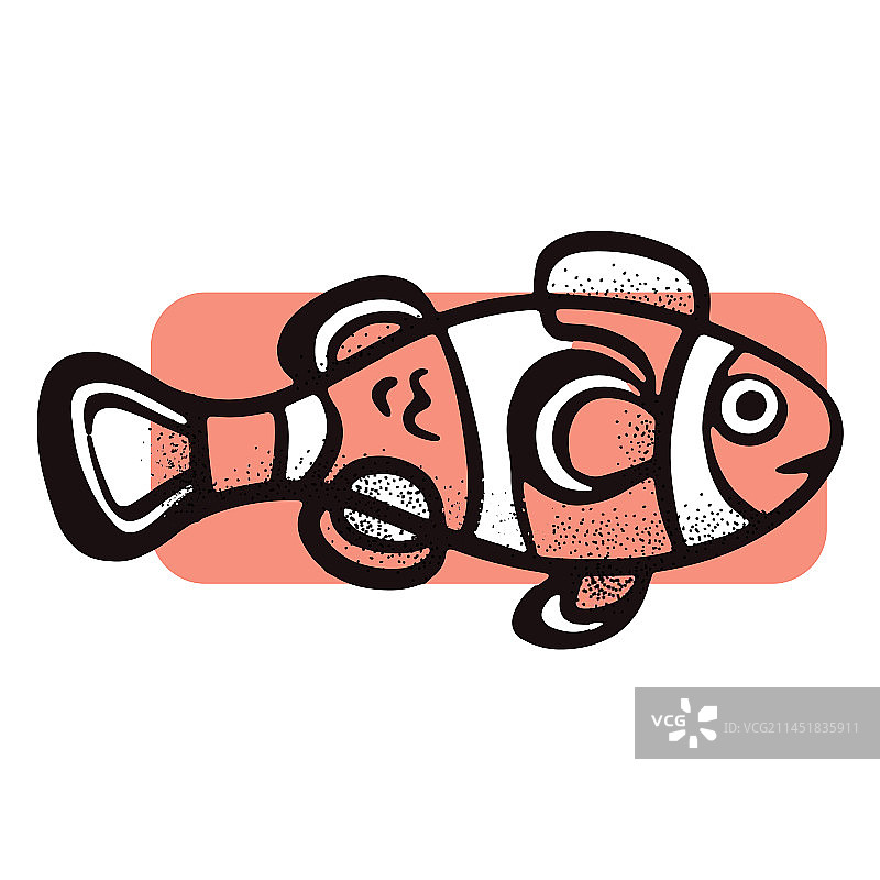 小丑鱼图像图片素材