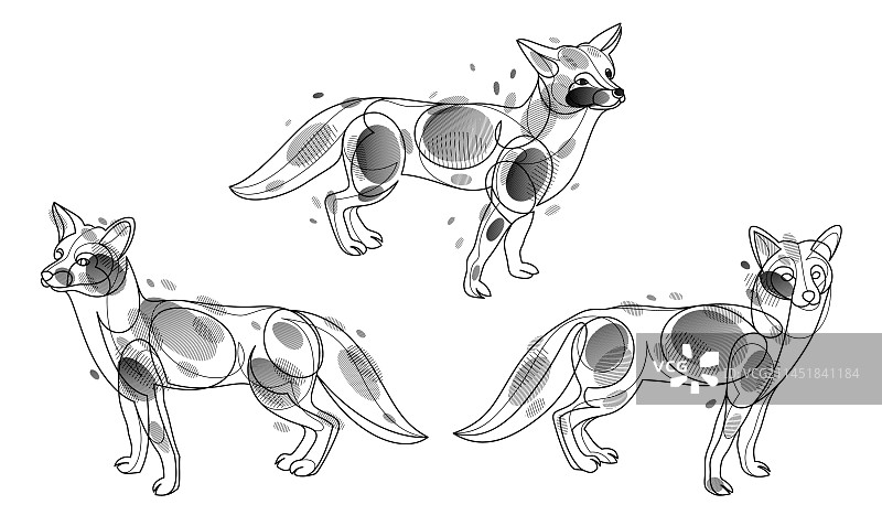 红色狐狸线性图案，可爱的野生动物图片素材