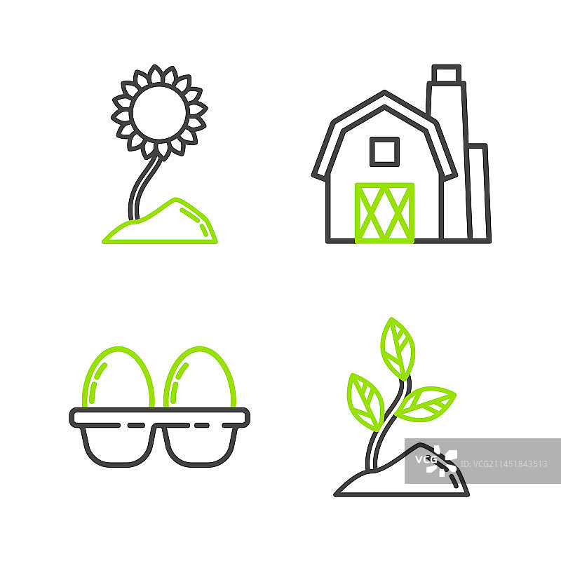 豆芽、鸡盒蛋和农舍图片素材