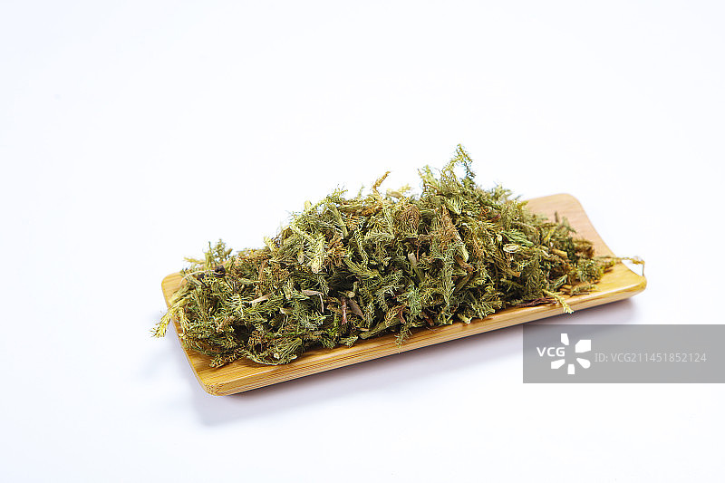 中药材伸筋草图片素材