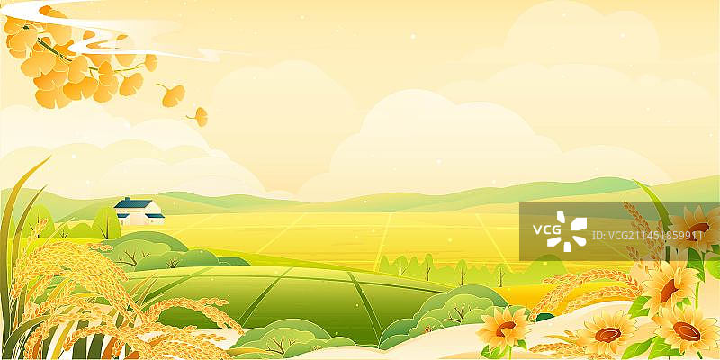 秋天丰收的水稻田图片素材