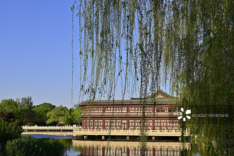 天津北宁公园湖边的垂柳和古建筑倒影图片素材