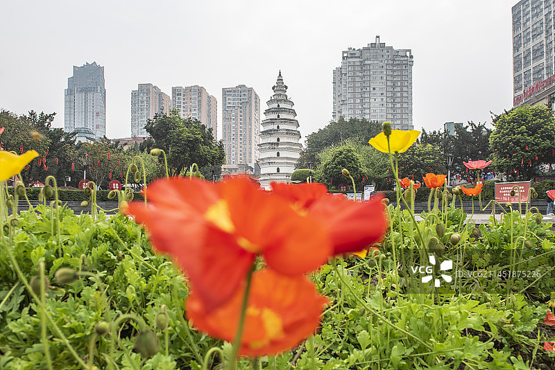 四川酒城泸州报恩塔图片素材