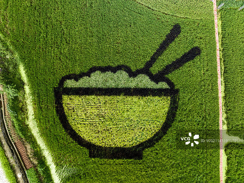 雅安芦山龙门古镇白伙村现代农业园区乡村振兴稻田画标语图片素材