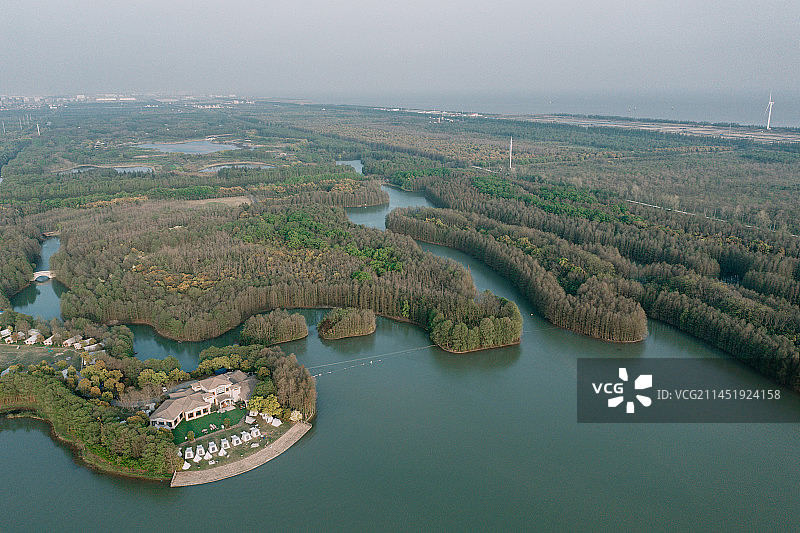 航拍上海海湾国家森林公园百鸟湖图片素材