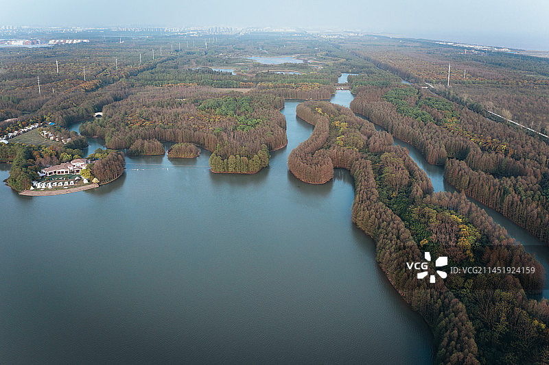 航拍上海海湾国家森林公园百鸟湖图片素材