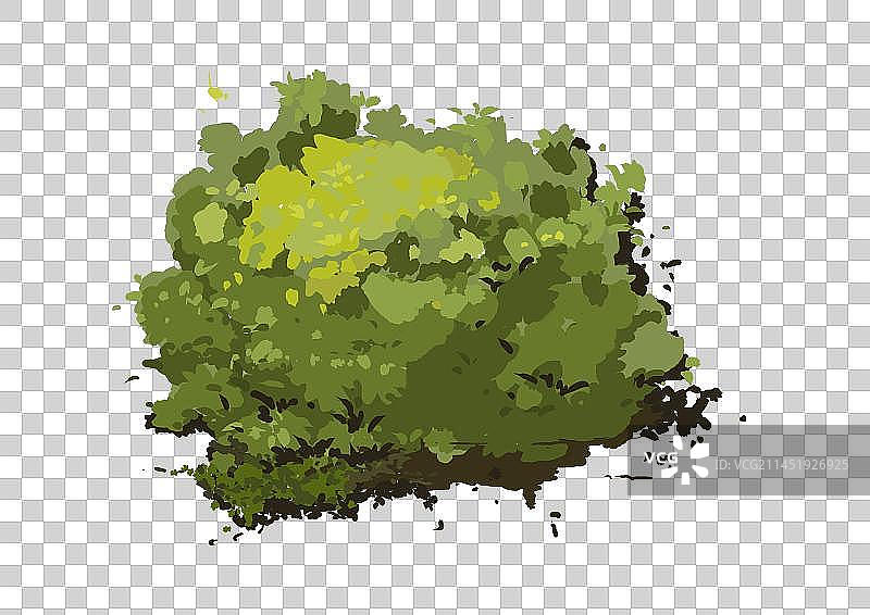 卡通植物草丛图片素材