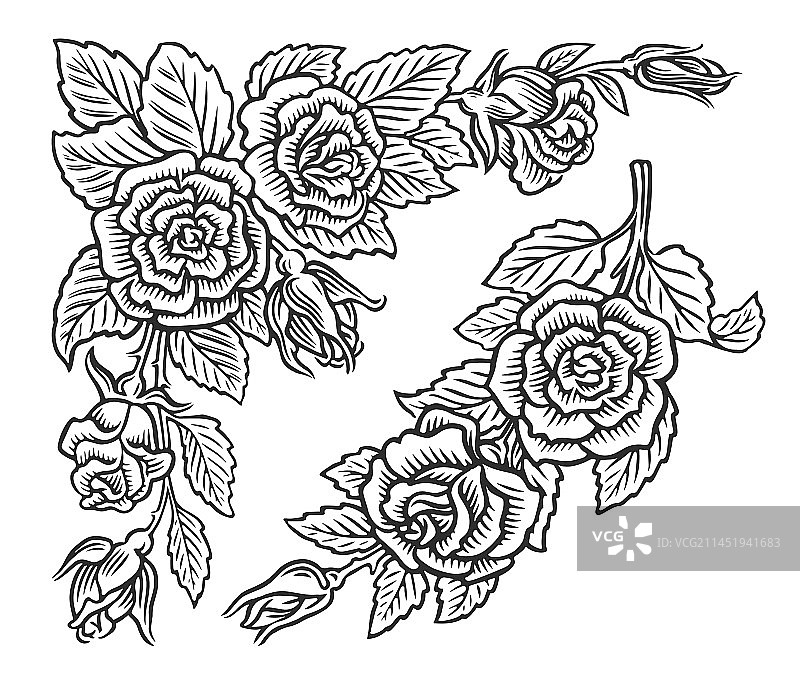 野花玫瑰花卉装饰套装图片素材