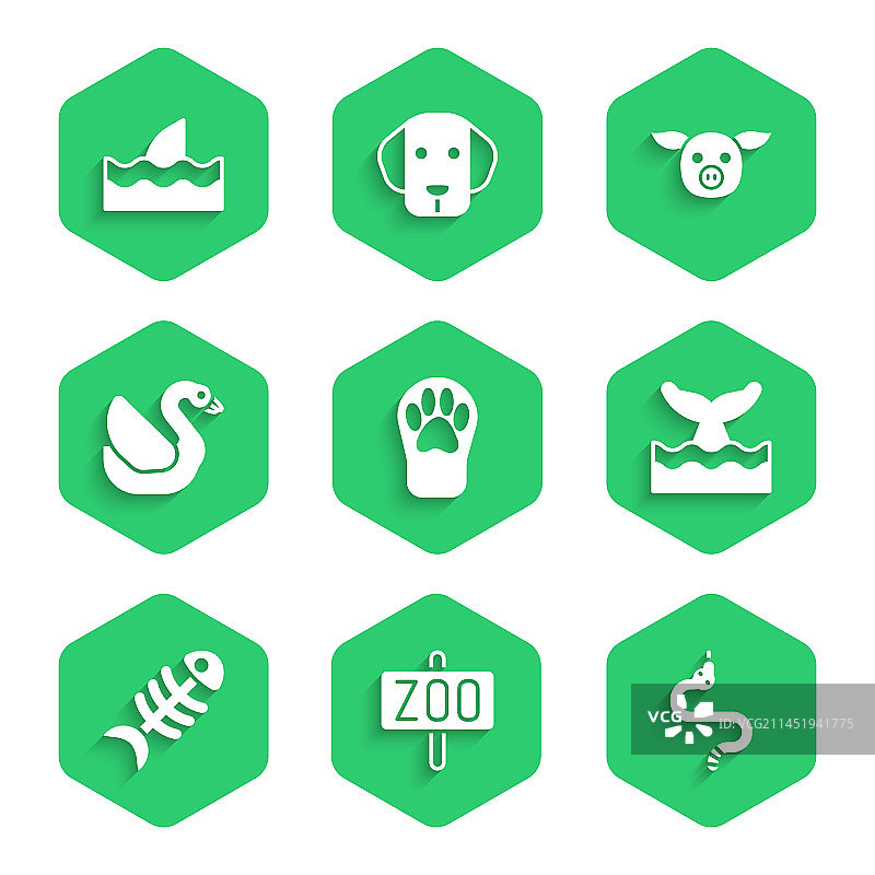 爪印动物园公园蛇鲸鱼尾巴海洋图片素材