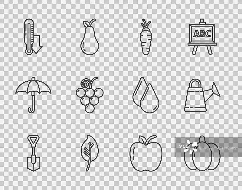 铁锹南瓜胡萝卜树叶线条图案图片素材