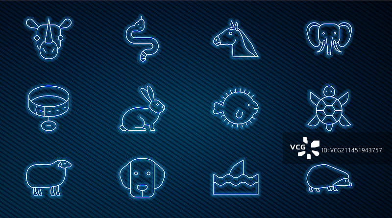 刺猬乌龟马头兔子线条图案图片素材