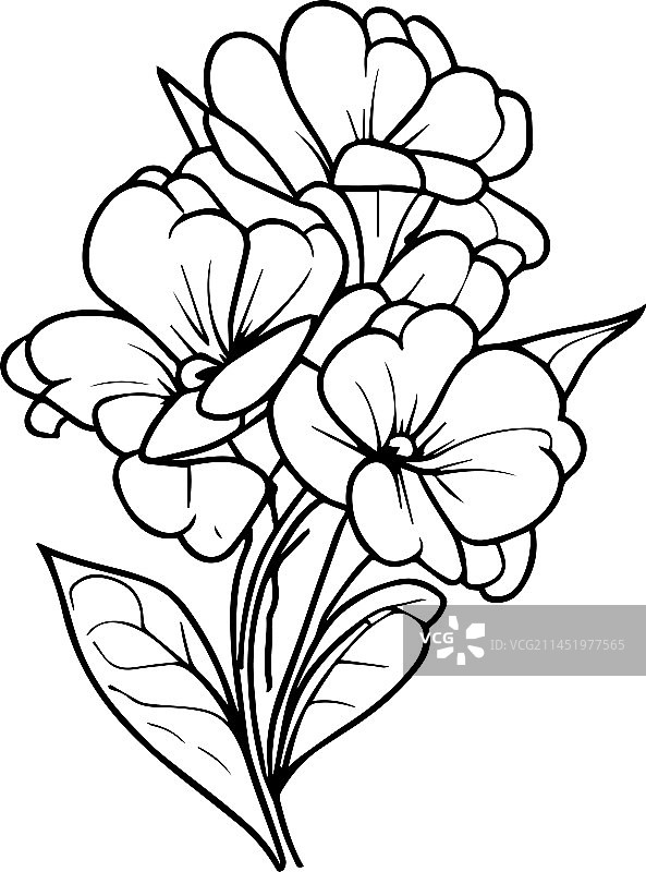 用于墙壁艺术的报春花装饰纹身印花图片素材