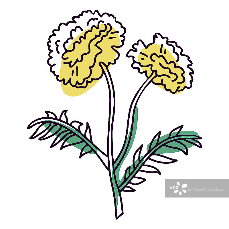 菊花彩色笔触图片素材