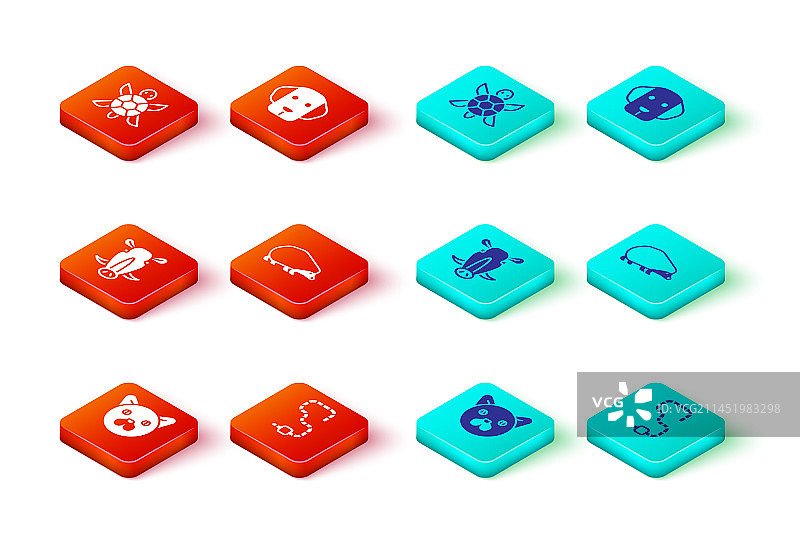 猫蠕虫，野猪头，刺猬和狗套装图片素材