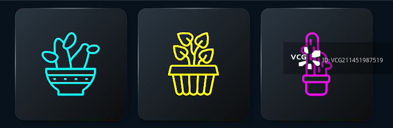 盆栽仙人掌和室内植物等图标图片素材