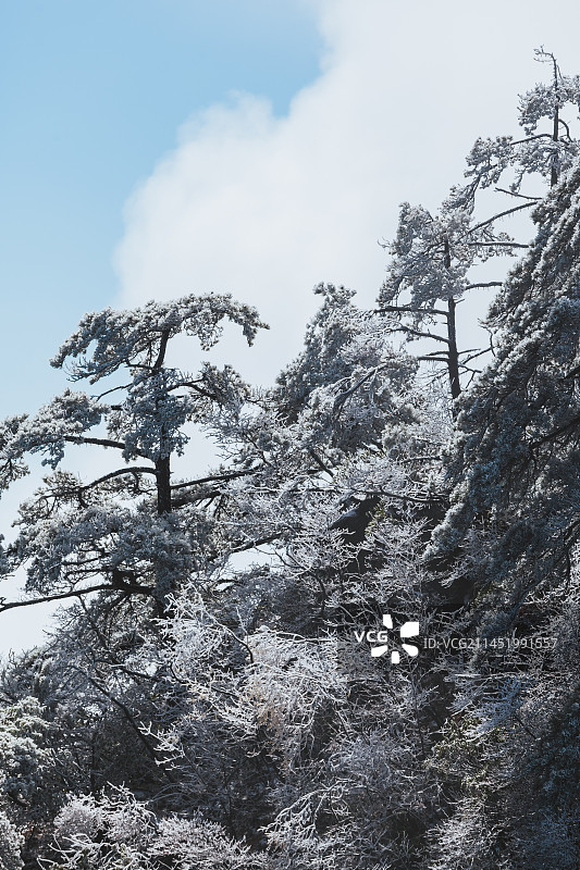 黄山雾凇风景图片素材