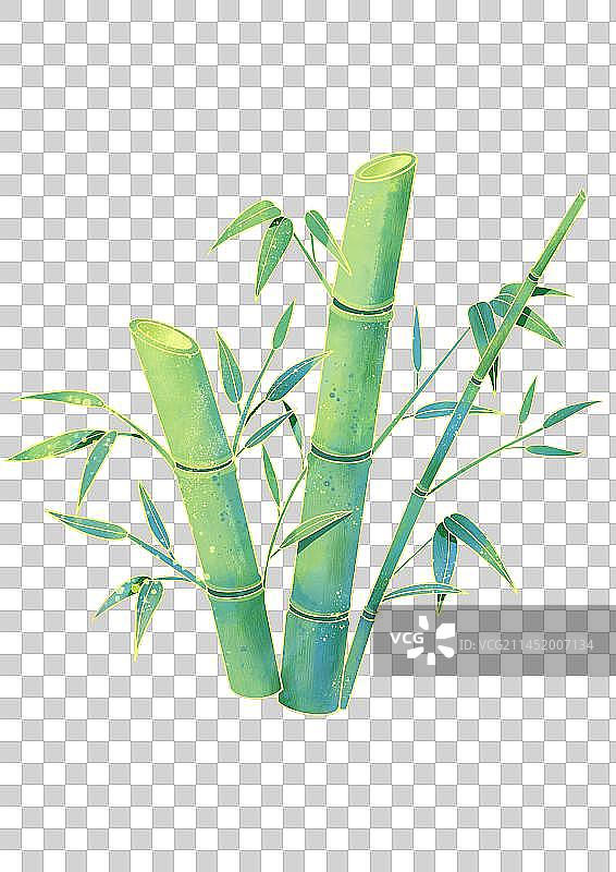 简约中国风竹子国潮插画图片素材
