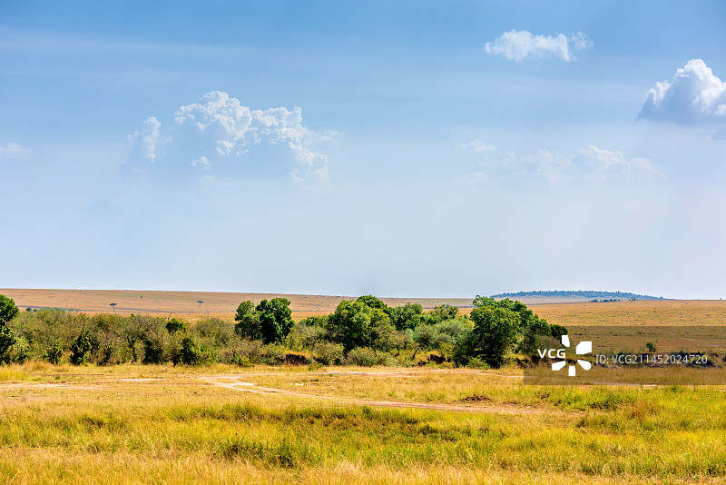 非洲肯尼亚马赛马拉大草原风光图片素材