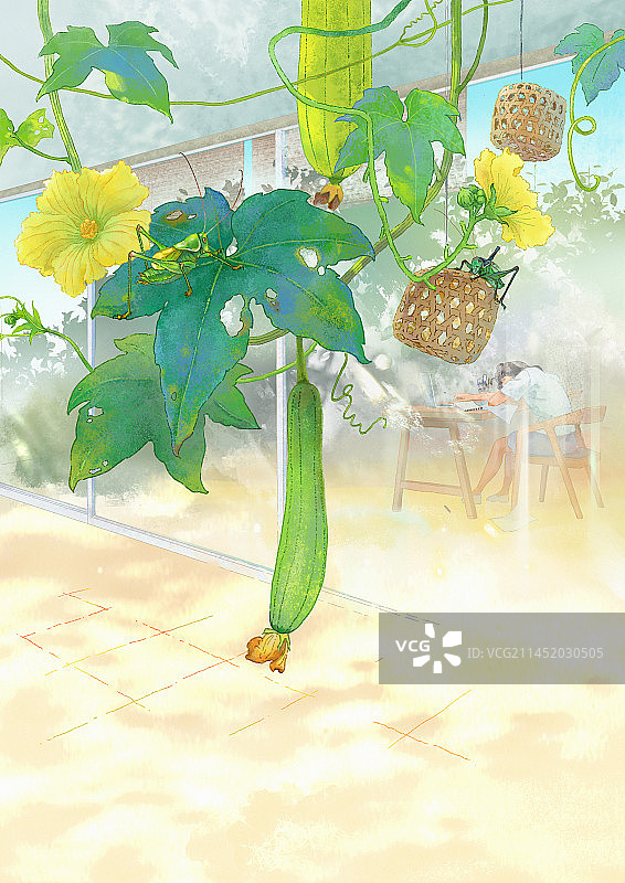 正午有蝈蝈的丝瓜架旁玻璃房里一个困倦的女孩趴在桌子上睡着了图片素材