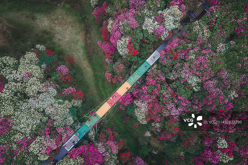 彩虹花桥图片素材