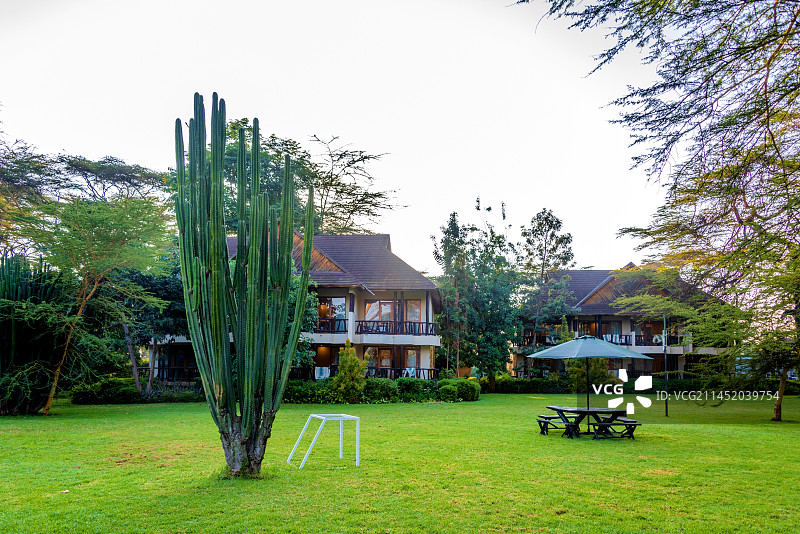 非洲肯尼亚博戈利亚酒店风光图片素材