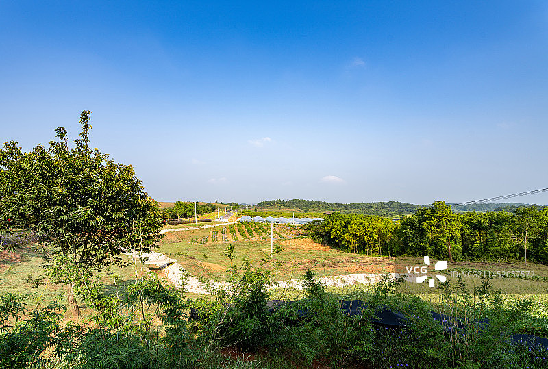 鄂州市梁子湖区振新乡村发展实景图片素材