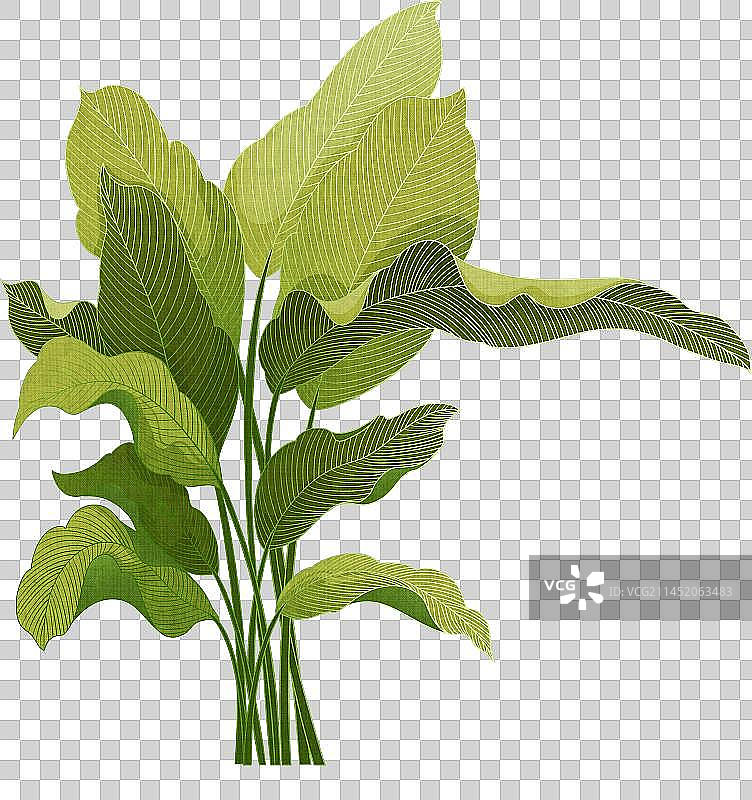 国潮风手绘植物免抠元素图片素材