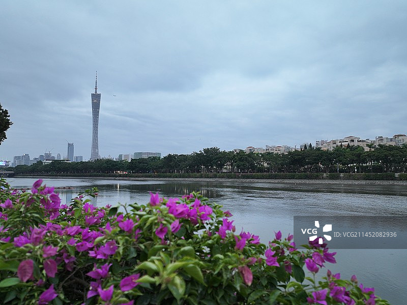 广州塔图片素材