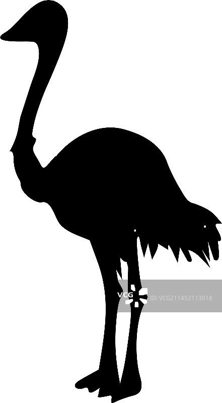 站立的鸵鸟轮廓图像图片素材
