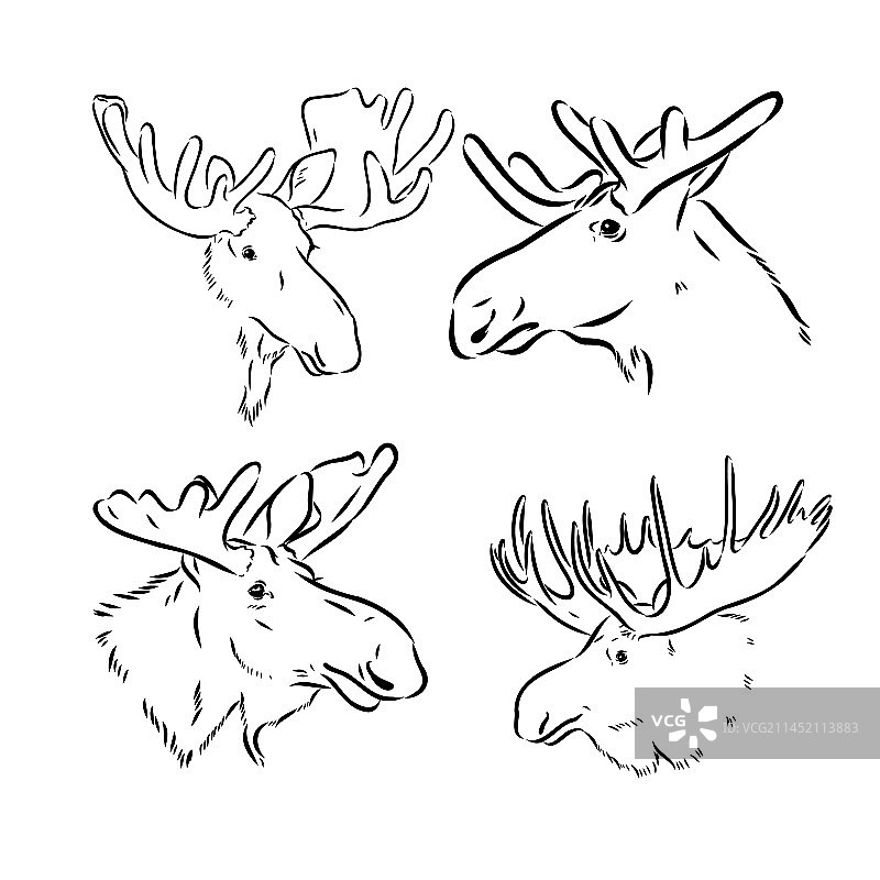 黑白雕刻风手绘麋鹿图片素材