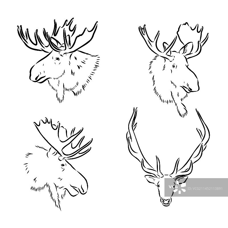 黑白雕刻风手绘麋鹿图片素材