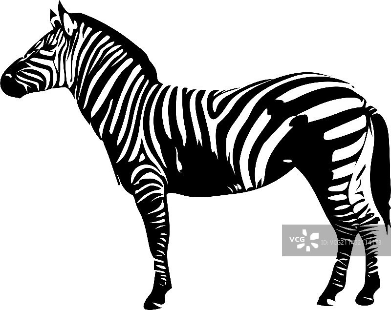 斑马剪影图像图片素材